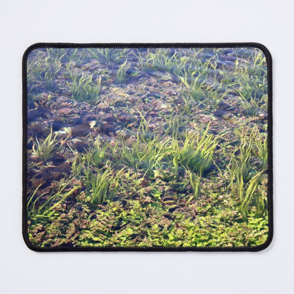 Item preview, Going With The Flow River Aquarium Akyaka Turkiye designed and sold by taiche.