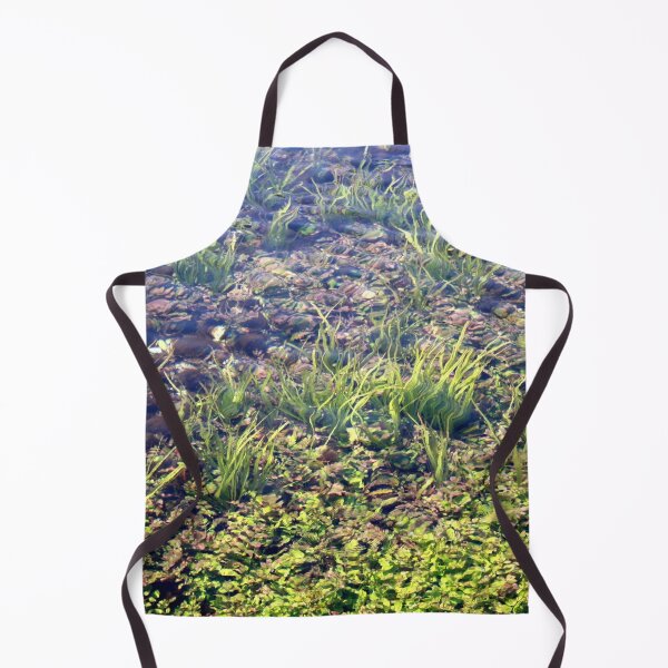 Item preview, Going With The Flow River Aquarium Akyaka Turkiye designed and sold by taiche.