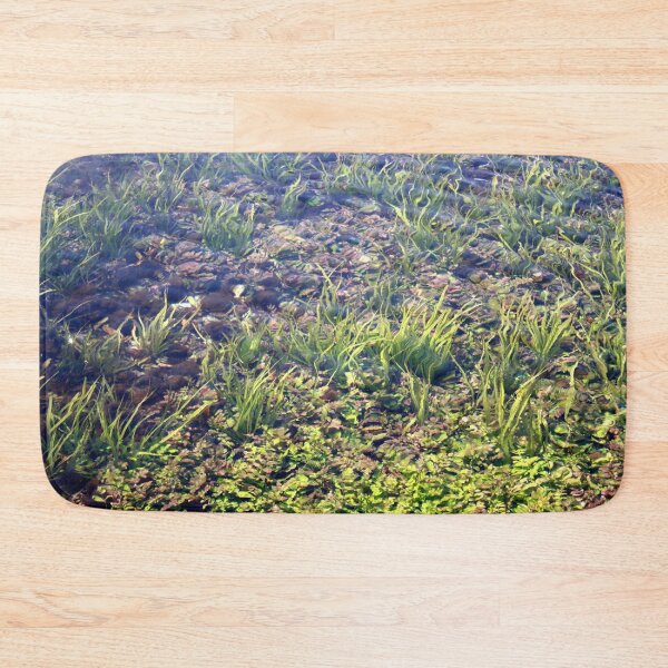Item preview, Going With The Flow River Aquarium Akyaka Turkiye designed and sold by taiche.