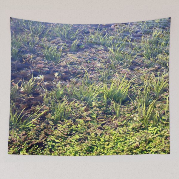 Item preview, Going With The Flow River Aquarium Akyaka Turkiye designed and sold by taiche.