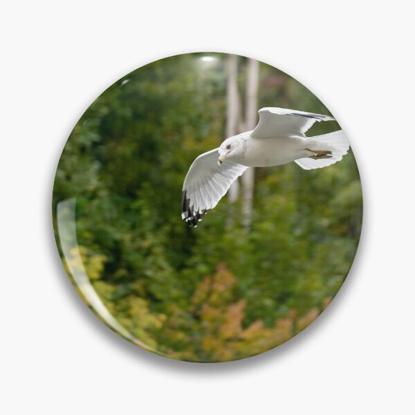 Item preview, Seagull Soaring Over the Fall Colours designed and sold by jrtwynam.