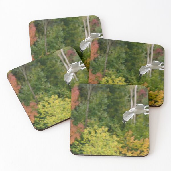 Item preview, Seagull Soaring Over the Fall Colours designed and sold by jrtwynam.