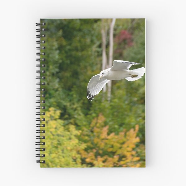 Item preview, Seagull Soaring Over the Fall Colours designed and sold by jrtwynam.