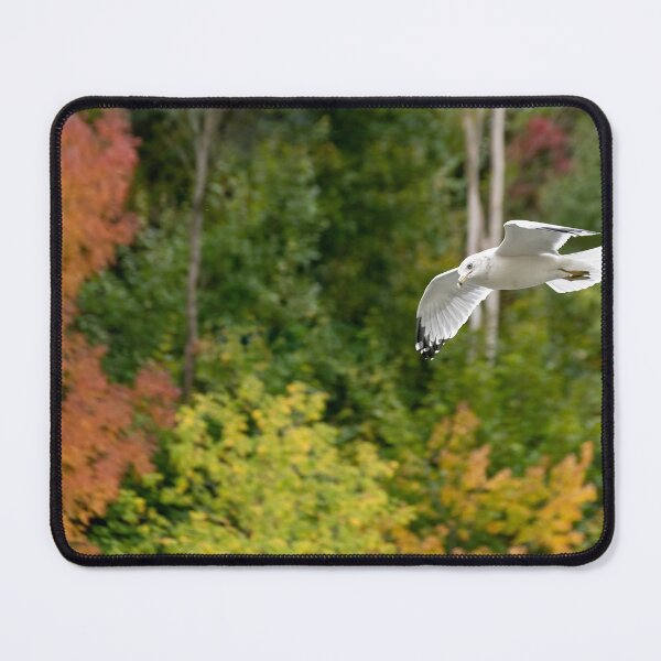 Item preview, Seagull Soaring Over the Fall Colours designed and sold by jrtwynam.