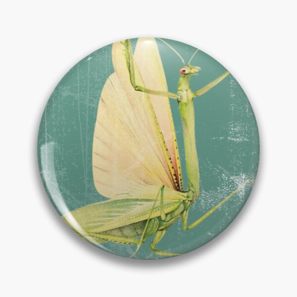 Artikelvorschau, Mantis Pray Mantis Gottesanbeterin Gottesanbeterin Preying Mantis Entomologie Geschenk Umwelt Mantis Geschenk Mantis Insekten Mantis Design entworfen und verkauft von InnaMGraphic.