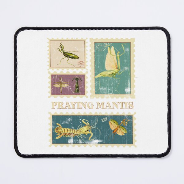 Item preview, Mantis Pray Mantis Praying Mantis Preying Mantis Entomology Gift Environmental Mantis Gift Mantis Insects Mantis design designed and sold by InnaMGraphic.