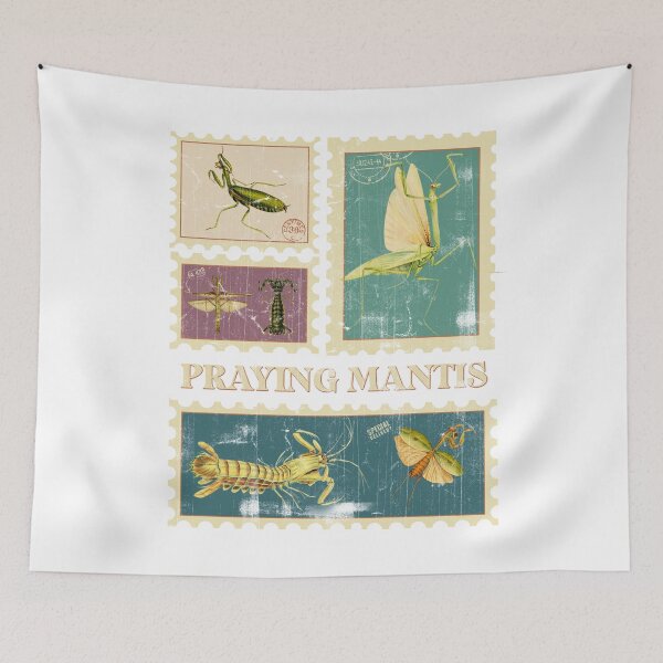 Item preview, Mantis Pray Mantis Praying Mantis Preying Mantis Entomology Gift Environmental Mantis Gift Mantis Insects Mantis design designed and sold by InnaMGraphic.