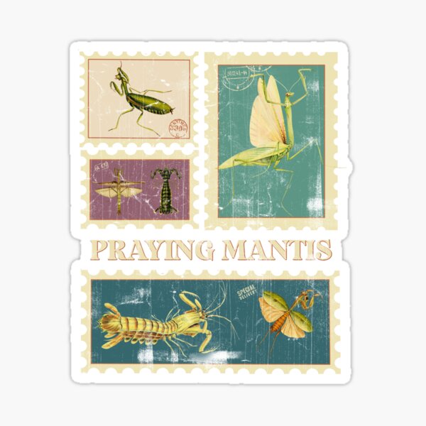 Item preview, Mantis Pray Mantis Praying Mantis Preying Mantis Entomology Gift Environmental Mantis Gift Mantis Insects Mantis design designed and sold by InnaMGraphic.