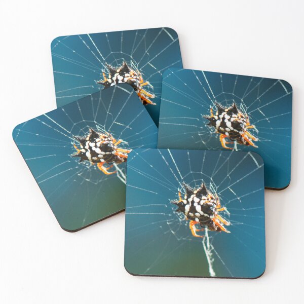 Item preview, Jewel Spider designed and sold by robdanimalphotography.