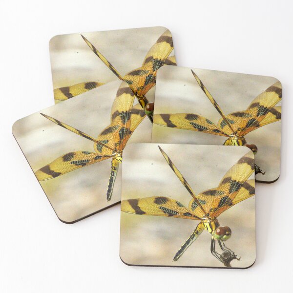 Item preview, Halloween Pennant Dragonfly designed and sold by MercerImages.