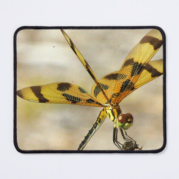 Item preview, Halloween Pennant Dragonfly designed and sold by MercerImages.