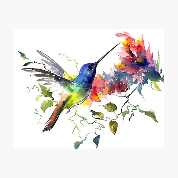 Item preview, Hummingird designed and sold by surenart.