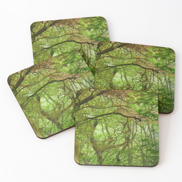 Item preview, Into the greenwood designed and sold by paulboizot.