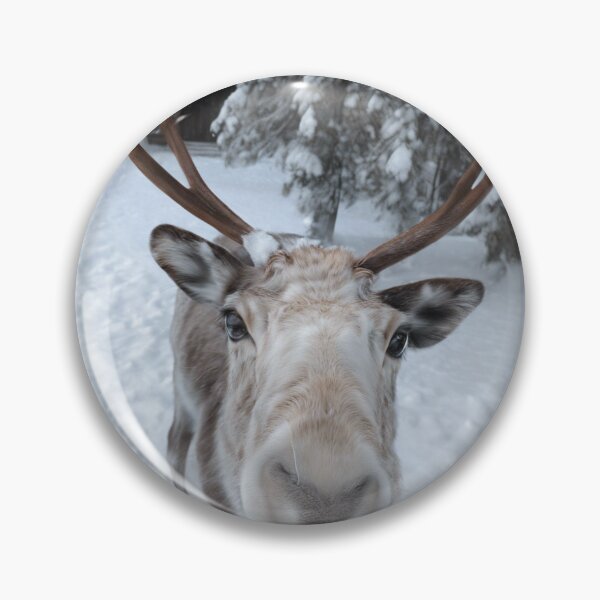 Artikelvorschau, Reindeer in Lapland entworfen und verkauft von M4nulas.