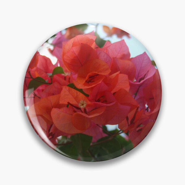Artikelvorschau, Bougainvillea im Morgengrauen Magenta entworfen und verkauft von taiche.