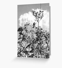 Reach monochrome Greeting Card