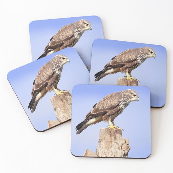 Item preview, Buzzard designed and sold by Tom McPherson Photography.