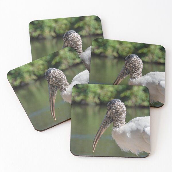 Item preview, Close Up of a Long-Beaked Bird by a River designed and sold by jrtwynam.
