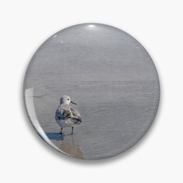Item preview, Sanderling Looking Back at the Ocean, Florida designed and sold by jrtwynam.