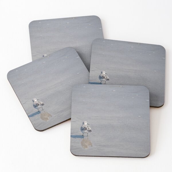 Item preview, Sanderling Looking Back at the Ocean, Florida designed and sold by jrtwynam.