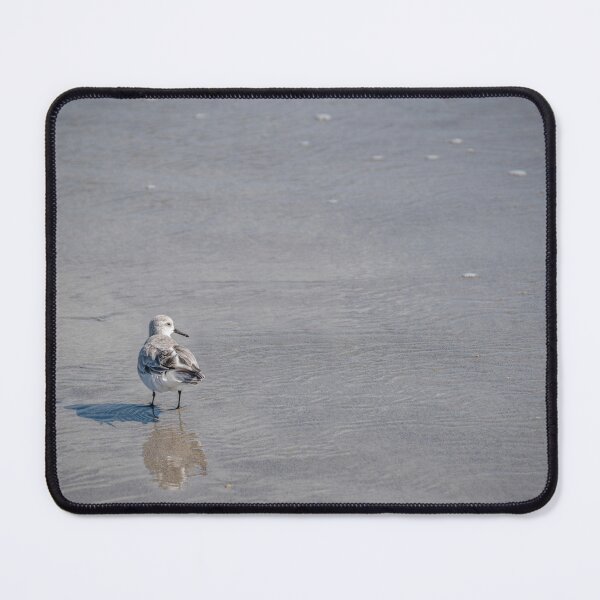 Item preview, Sanderling Looking Back at the Ocean, Florida designed and sold by jrtwynam.