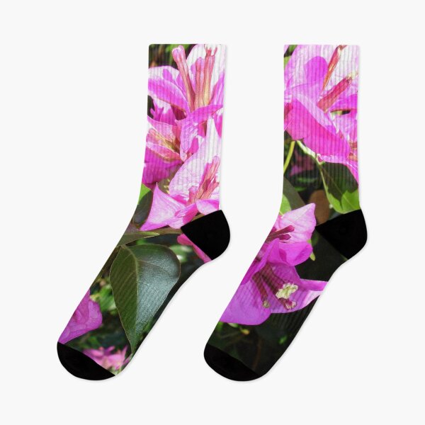 Item preview, Bougainvillea On A Sunny Day designed and sold by taiche.