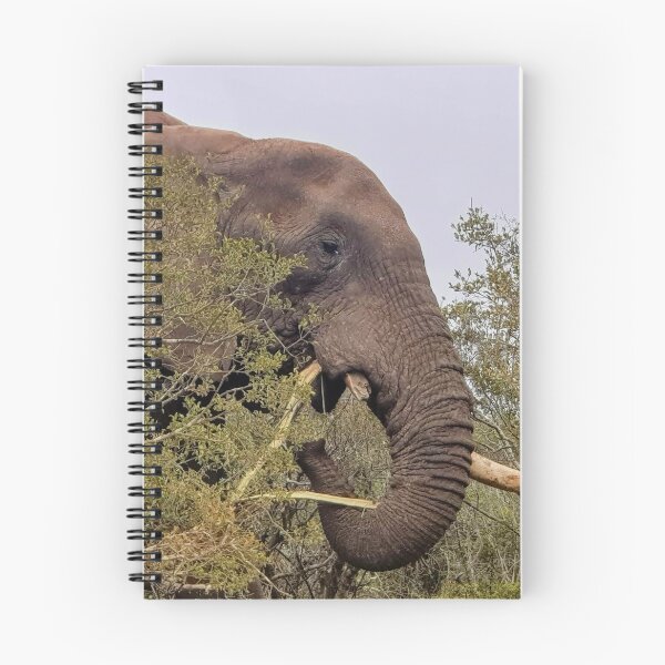 Item preview, Male elephant, Addo Elephant Park - South Africa  designed and sold by AngelNetwork.