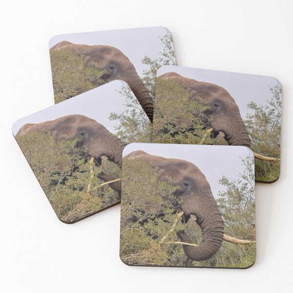 Item preview, Male elephant, Addo Elephant Park - South Africa  designed and sold by AngelNetwork.