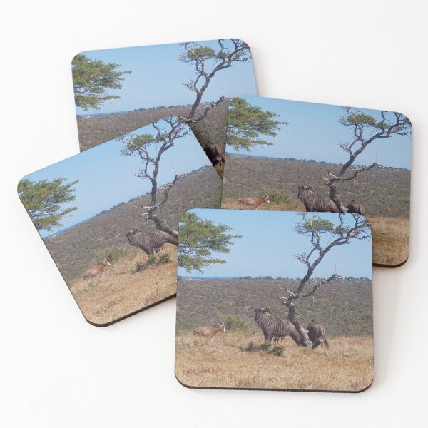 Item preview, Wildebeest, Eastern Cape - South Africa  designed and sold by AngelNetwork.