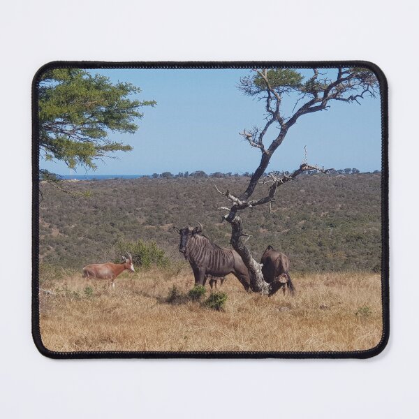Item preview, Wildebeest, Eastern Cape - South Africa designed and sold by AngelNetwork.