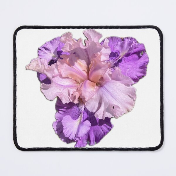 Item preview, beautiful iris designed and sold by v3r9n1c4.