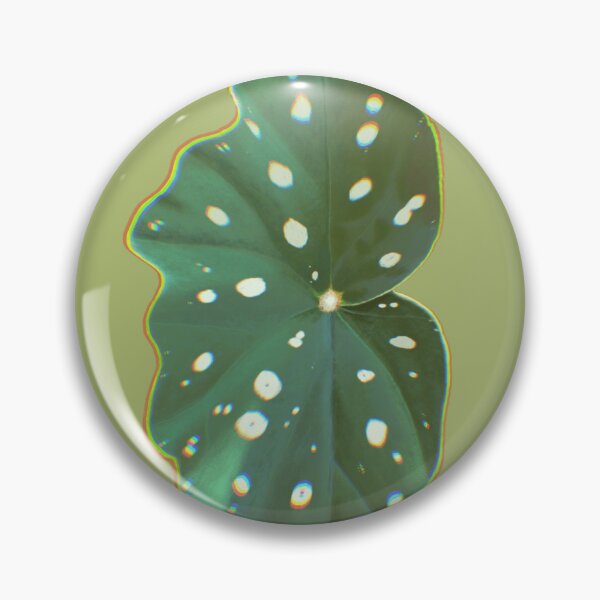 Item preview, Maculata polka dot begonia leaf plant lover designed and sold by camilacarvalho.