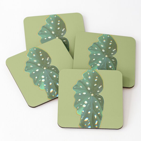 Item preview, Maculata polka dot begonia leaf plant lover designed and sold by camilacarvalho.