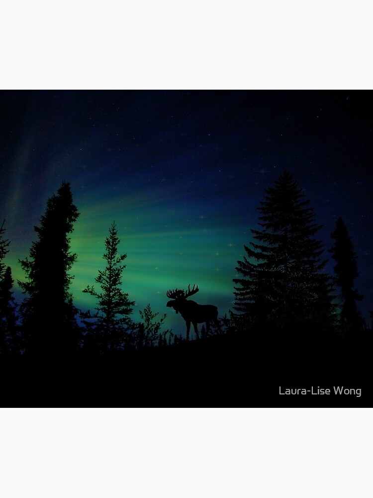 Moose with Northern Lights by crazycanonmom