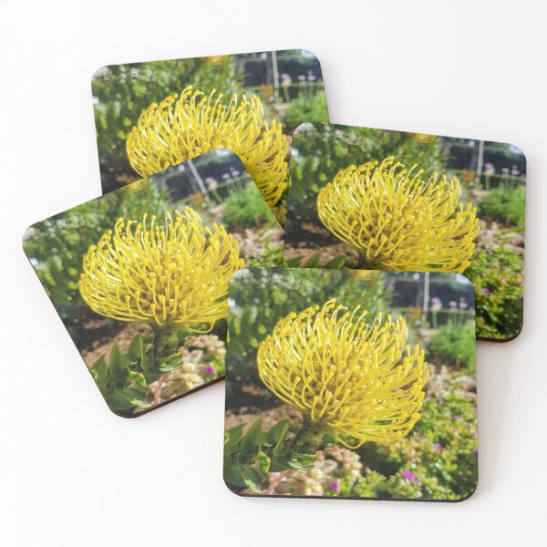 Item preview, Pincushion Protea - Plettenburg Bay - South Africa designed and sold by AngelNetwork.