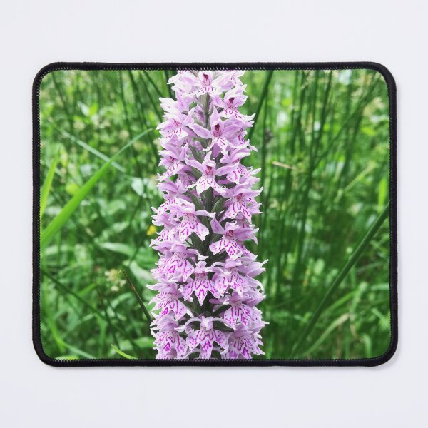 Item preview, A pink wild orchid flower photograph designed and sold by esvb.