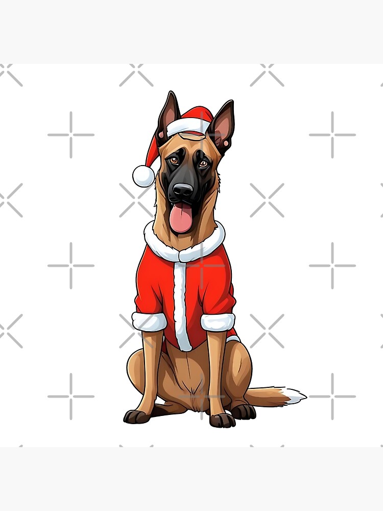 Belgian Malinois Christmas