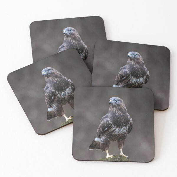 Item preview, Common Buzzard designed and sold by Tom McPherson Photography.