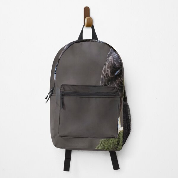 Item preview, Common Buzzard designed and sold by Tom McPherson Photography.