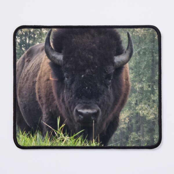 Item preview, Alpha Bison Rising designed and sold by 3DAF.