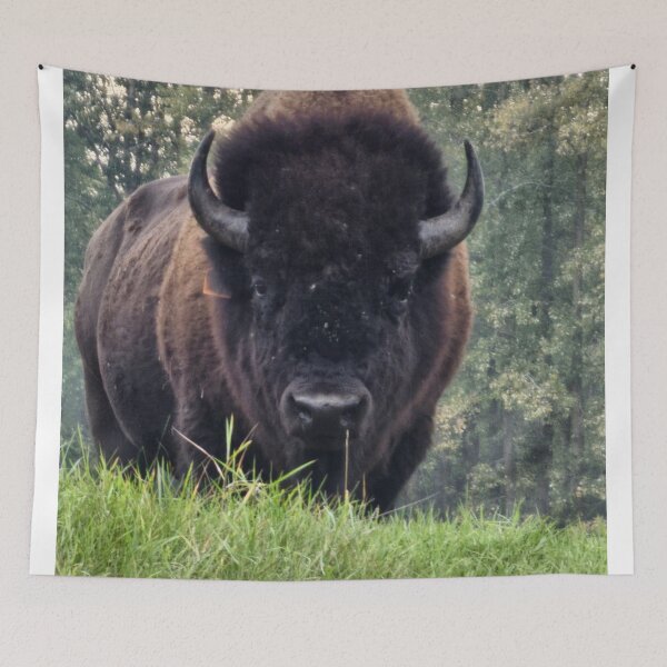 Item preview, Alpha Bison Rising designed and sold by 3DAF.