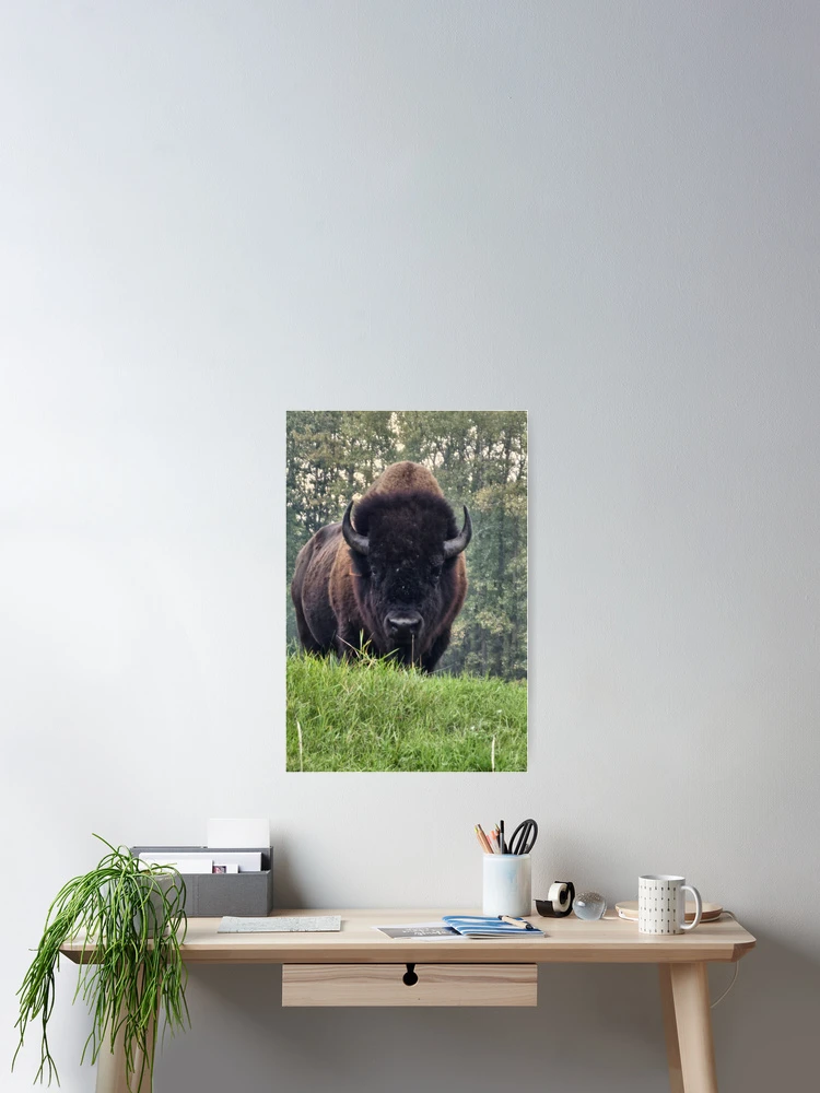 Thumbnail 2 of 3, Poster, Alpha Bison Rising designed and sold by 3DAF.