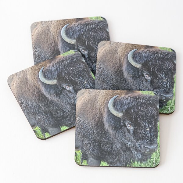 Item preview, Larry the Bison designed and sold by 3DAF.