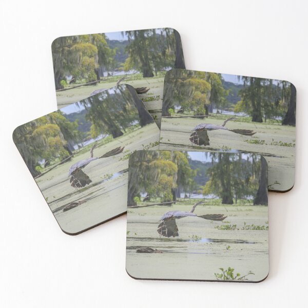 Item preview, Bird Flying Low over a Louisiana Swamp designed and sold by jrtwynam.