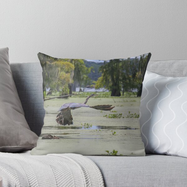 Item preview, Bird Flying Low over a Louisiana Swamp designed and sold by jrtwynam.