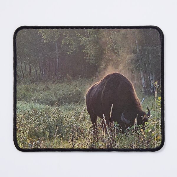 Item preview, Fall Morning Bison designed and sold by 3DAF.