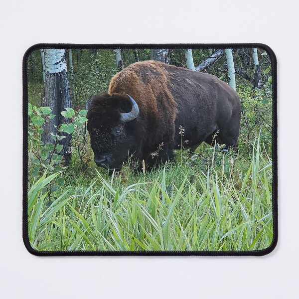 Item preview, Majestic Bison designed and sold by 3DAF.