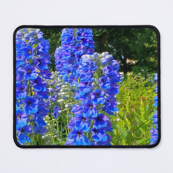 Item preview, Candle Larkspur in summer sunshine designed and sold by Violaman.