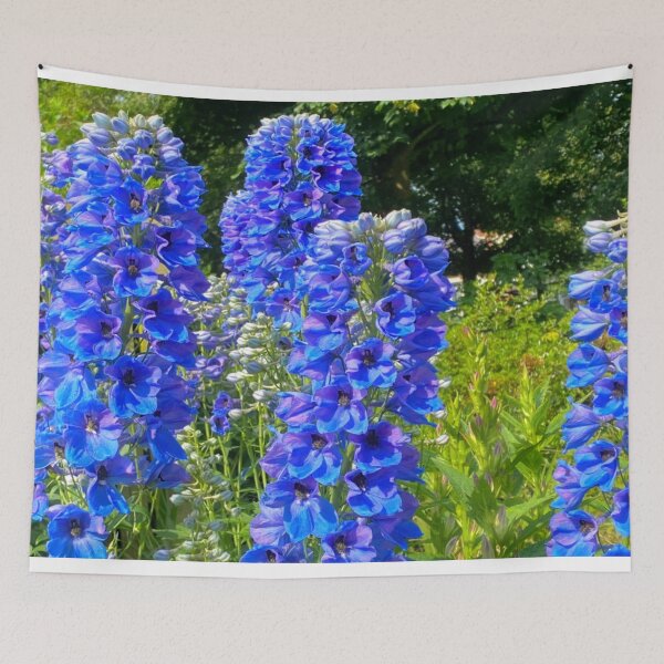 Item preview, Candle Larkspur in summer sunshine designed and sold by Violaman.