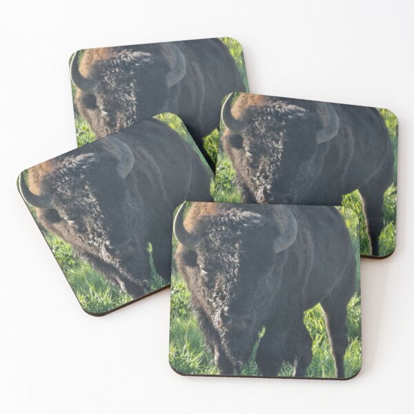 Item preview, Close Up Bison designed and sold by 3DAF.